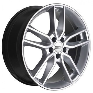 19-Zoll-WR20-Winterkomplettradsatz-ScenicE